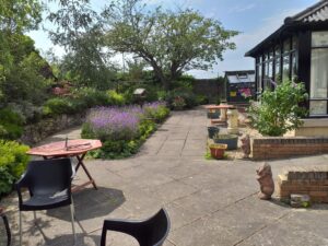 Acredale garden in the sunshine