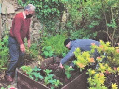 People working in raised beds in garden